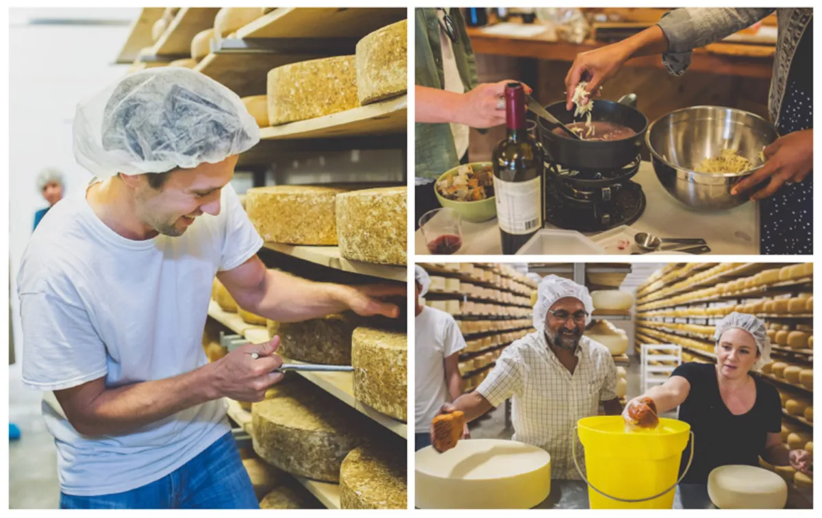 奶酪制作工艺 - 大奶 的匠心传承